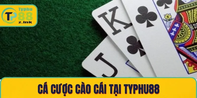 Cá cược cào cái tại Typhu88 Cá cược cào cái tại Typhu88