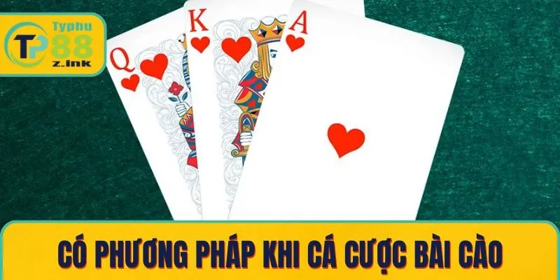 Có phương pháp khi cá cược bài cào Có phương pháp khi cá cược bài cào
