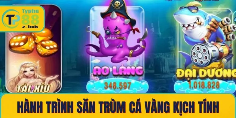 Hành trình săn trùm cá vàng kịch tính Hành trình săn trùm cá vàng kịch tính