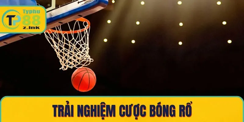 Trải nghiệm cược bóng rổ Trải nghiệm cược bóng rổ