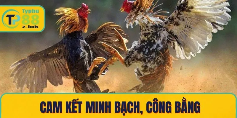 Hệ thống cam kết minh bạch, công bằng Hệ thống cam kết minh bạch, công bằng