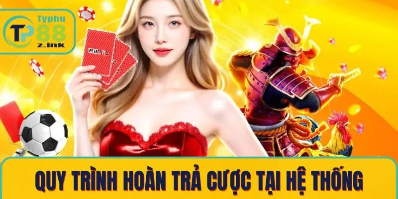 Quy trình hoàn trả cược tại hệ thống Quy trình hoàn trả cược tại hệ thống