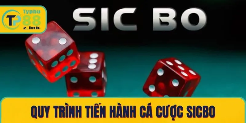 Quy trình tiến hành cá cược sicbo Quy trình tiến hành cá cược sicbo