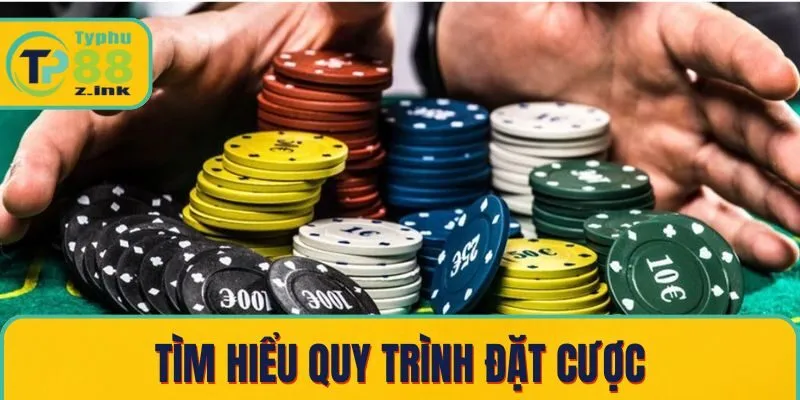 Tìm hiểu quy trình đặt cược Tìm hiểu quy trình đặt cược